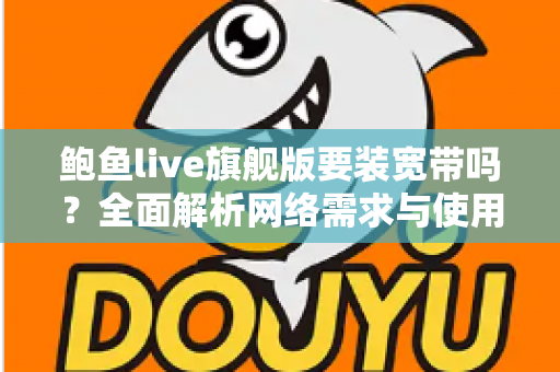 鲍鱼live旗舰版要装宽带吗？全面解析网络需求与使用建议