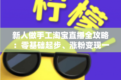 新人做手工淘宝直播全攻略：零基础起步、涨粉变现一步到位的实战指南