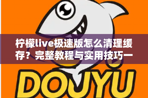 柠檬live极速版怎么清理缓存？完整教程与实用技巧一文读懂